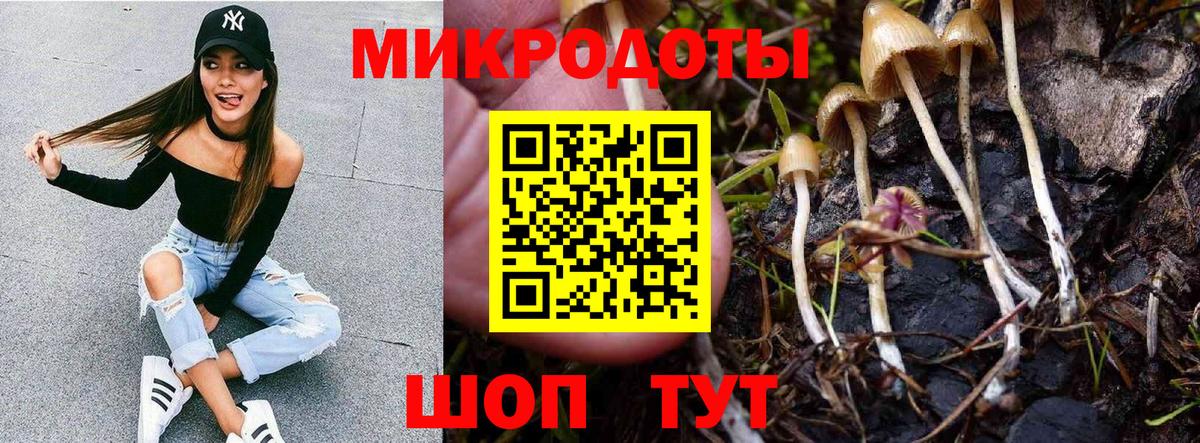 Псилоцибиновые грибы прущие грибы Дедовск