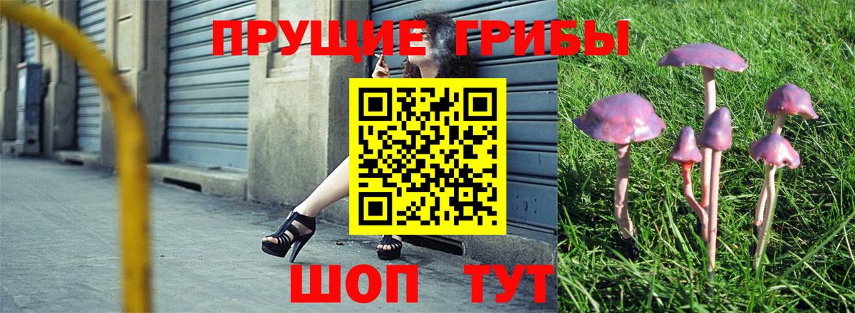 цены   Галлюциногенные грибы Magic Shrooms  Галлюциногенные грибы GOLDEN TEACHER  Вход с VPN  Дедовск 
